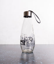 Load image into Gallery viewer, Consol Glass Big 5 Water Bottle 500ml With Handle Lid
