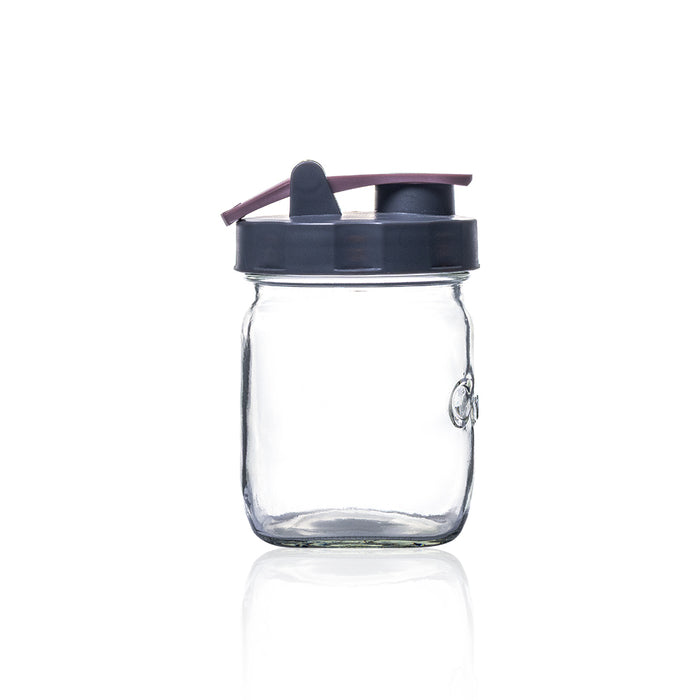 Consol Glass preserve Jar with Plum Flip Top Lid 500ml