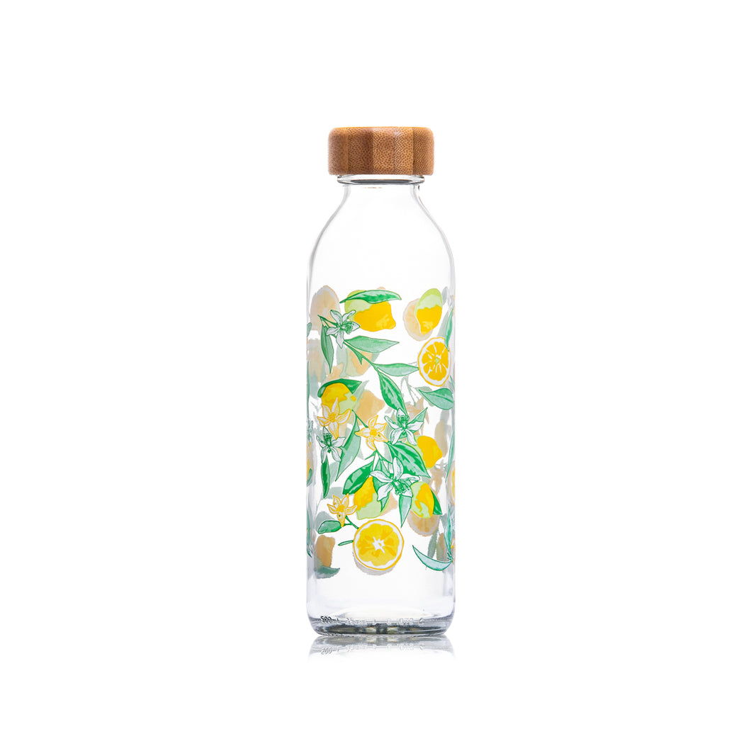 Consol Glass Sleek Bottle 500ml